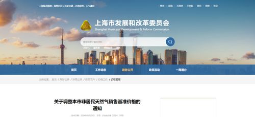 上海市發(fā)改委調(diào)整非居民天然氣售價(jià) 對軟件代理與開發(fā)行業(yè)的影響與應(yīng)對策略