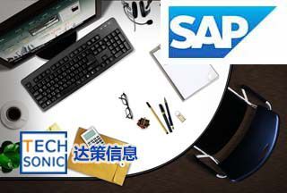 中小企業(yè)ERP價(jià)格與SAP ERP軟件收費(fèi)標(biāo)準(zhǔn)詳解 達(dá)策代理指南